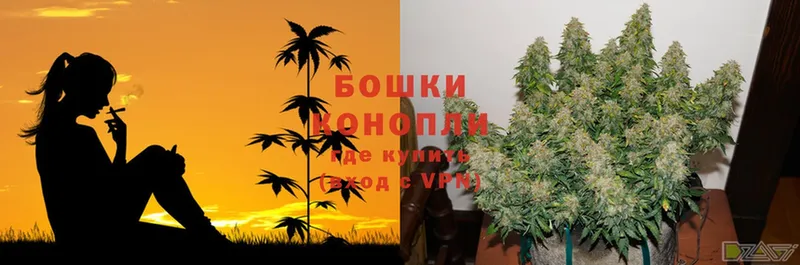 Марихуана THC 21%  Невельск 